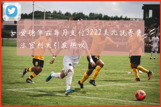爱德华兹每月支付3222美元抚养费法官判决引发热议